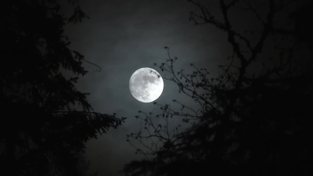 Time lapse of full moon rising at night in forest with scary effect and transition to black.