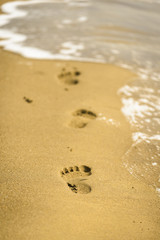Footprint on beach  leading to the water.