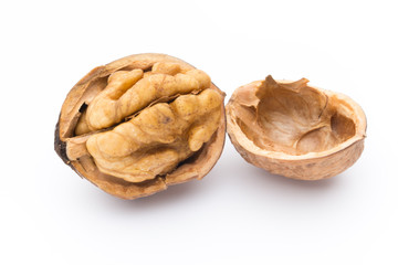 Walnut and walnut kernel isolated on the white background.