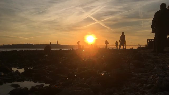 Dog Runs Into Camera In Low Tide River During Sunset. Amazing Sunset In Lisbon, the capital and the largest city of Portugal. 
