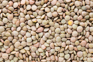 Lentils pulse legumes vegetables vegetarian food background.