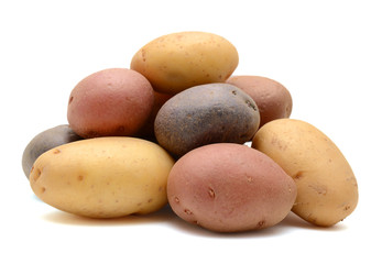 Fototapeta na wymiar Mixed varieties of potatoes: red potatoes, yellow potatoes and purple potatoes