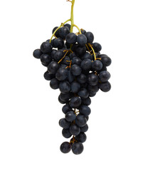bunch of black grapes isolated on white background