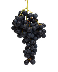 bunch of black grapes isolated on white background