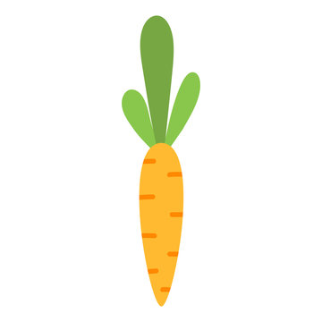Cartoon arrot vector illustration.