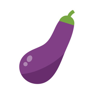 Eggplant or aubergine vegetable isolated vector illustration.