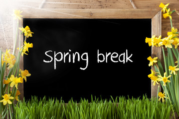 Sunny Narcissus, Chalkboard, Text Spring Break