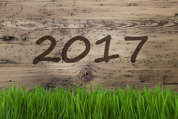 Aged Wooden Background, Gras, Text 2017