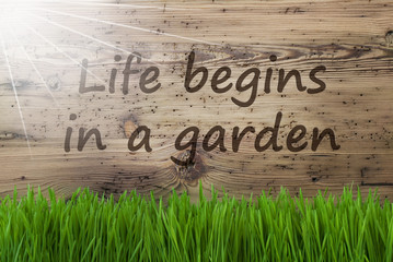 Sunny Wooden Background, Gras, Quote Life Begins In A Garden