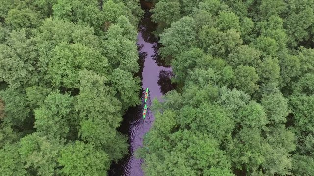 kajaki, spływ, rzeka, woda, las, drzewa, strumień, odpływać, wiosło, kamizelka, bystra woda, nurt, prąd, bieg, rafting, fauna, flora, natura