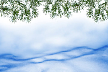  Frozen winter forest with snow covered trees.