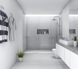 Fototapeta na wymiar 3d rendering white clean modern bathroom with bright daylight