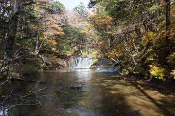 Obraz premium 小滝