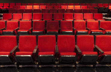Rows of Red Theater Seating