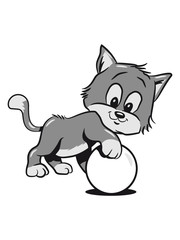 Cat baby cute playing ball