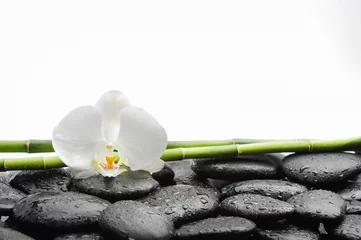 Rolgordijnen White orchid blossom with black stones ,grove on wet background © Mee Ting