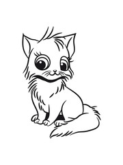 Cat baby cute sitting