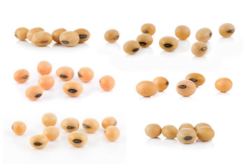soy beans on white background