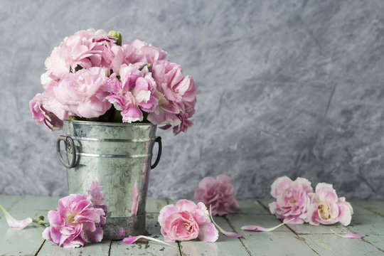 Fototapeta Pink carnation flowers in zinc bucket on old wood