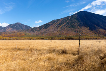 戦場ヶ原の秋