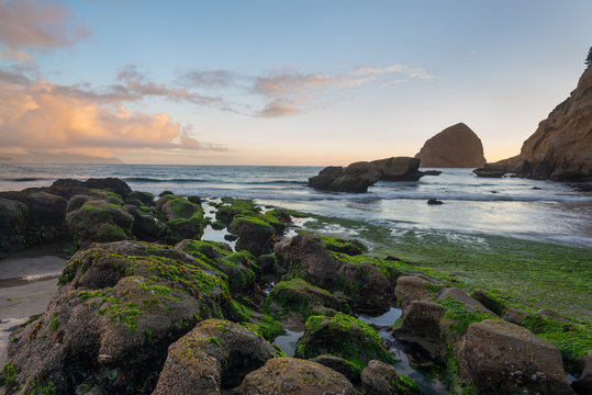Green mossy rocks on the beach at sunset