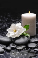 Fototapeta na wymiar gardenia with candle with therapy stones