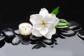 Still life with gardenia with candle with therapy stones