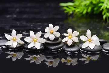 gardenia ,green bamboo with therapy stones