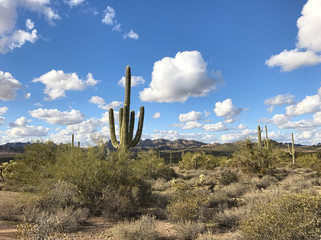 Lost Dutchman State Park Arizona