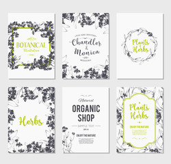 Plants and herbs banners set