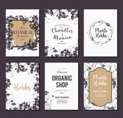 Plants and herbs banners set