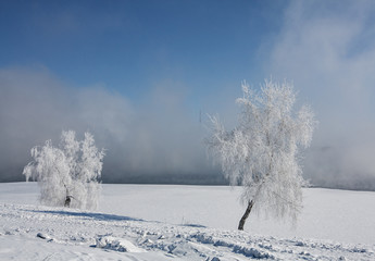 Obraz na płótnie Canvas The shore of the Angara River in Irkutsk in winter