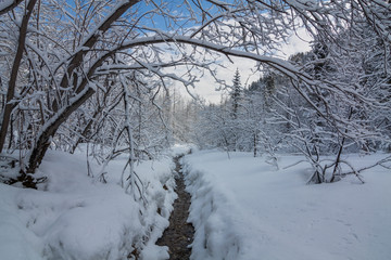 Spring in the mountains of Khamar-Daban