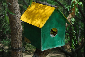 Beijing Botanical Garden