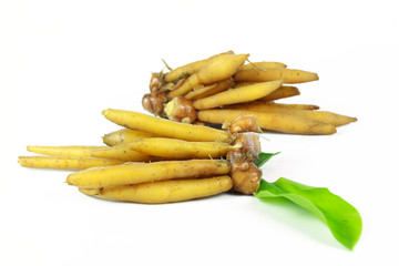 finger root Ingredients for Thai Cuisine on white background
