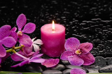 Branch orchid and red candle on black stones