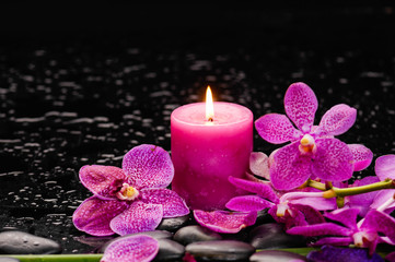 Obraz na płótnie Canvas Branch orchid and candle on black stones with long stem