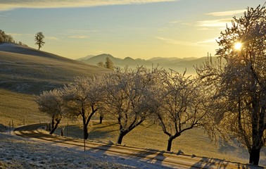Naklejka premium Sonnenaufgang im Winter
