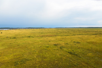 Fototapeta premium Bog landscape view at the autumn