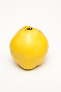 ayva
