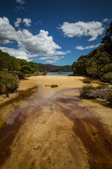 Landscape in the Anchorage beach area, Abel Tasman National Park