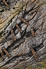 Rough decorative steel background 