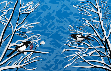 Winter magpie on the branches