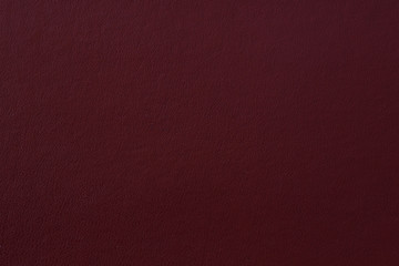 Skin Texture