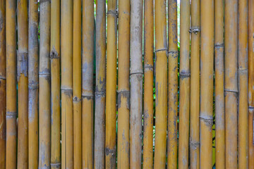 bamboo fence background