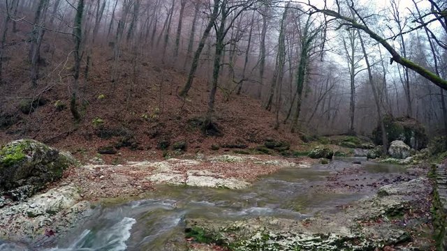 River in autumn forest video clip