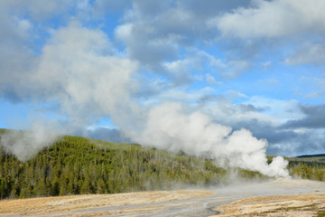 Geyser field in Yellowstone national park. Steam and smoke from the geysers