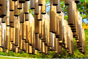 Bamboo dried yellow gold