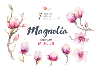 Fototapeta premium Watercolor Painting Magnolia blossom flower wallpaper decoration
