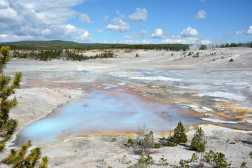 Blue geyser lake and green trees in Yellowstone